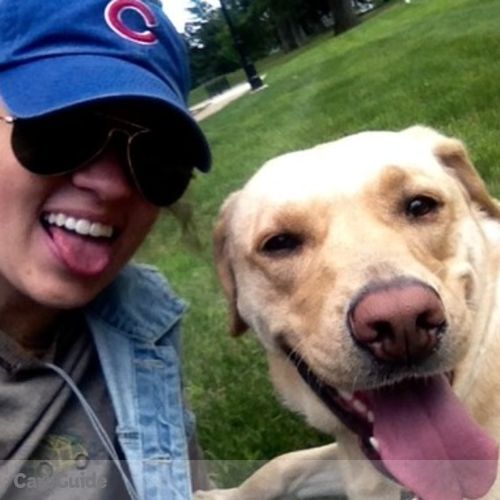 Pet Care Provider Rachel O's Profile Picture