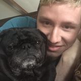 Available For a Pet Sitting Job in Mason, Cincinnati, Loveland