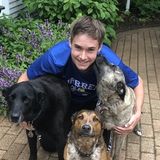 My name is Derek and I live in Gurnee, IL. I love dogs! I have three dogs at home. I will walk and/or sit your dogs.