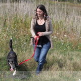 Professional Pet Care Provider