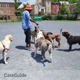 Dazzling dogs one day at a time