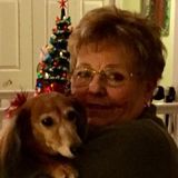 I love, love, love all dogs. When they stay with me it is like going to grandmas to get spoiled!.