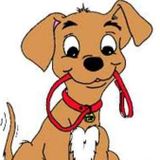 I am a fun loving pet person. Fur baby's are an important family member. I have years of experience with cats, dogs, horses