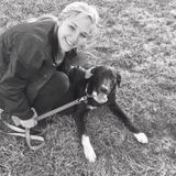 My name is Katy and I am a senior at WKU! Offering dog walking and/or dog sitting services to anyone who is in need!