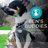 Ben's Buddies Dog Walking Services
