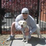 Dog sitter needed