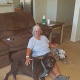 For Hire: Skilled Pet Groomer in El Mirage, Arizona