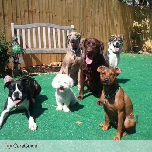 Pet Care Provider Nancy Rodriguez's Profile Picture