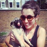 Animal Caregiver/Dog Walker Interested In Work in Calgary NW