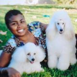 Dog Trainer/Pet Sitter