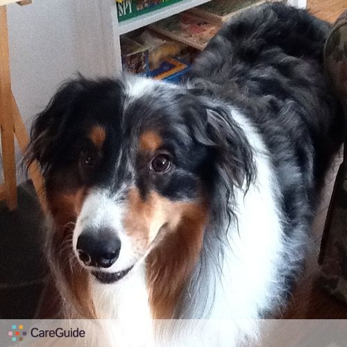 Pet Care Job Mary Kay A's Profile Picture