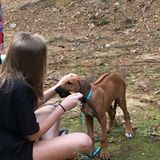 I am a 15 year old straight A Honors student hoping to become a vet. Working at Wendys but want to work with animals.