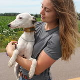 Pet sitter