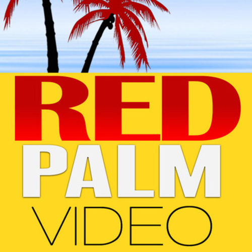 Videographer Provider RedPalm V's Profile Picture