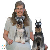 SILVERCASTLE - Boarding, Grooming & Training