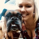 Available: Hard Working Home Sitter in Saint Simons Island, Georgia