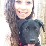 Available For any Animal Care Services in Rock Hill/Fort Mill/Charlotte Area