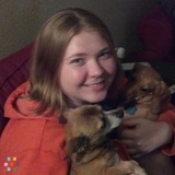 Specializing in pets with needs