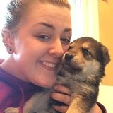 Flexible Pet Sitter Available Immediately