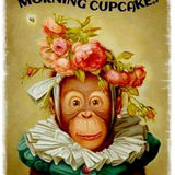 Hardworking Housekeeping Service for Your Home.. Are you to busy, and work hard , relax and let me clean ur home