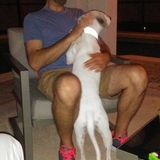 Available: Present Pet Care Provider in Dunwoody, Sandy Springs, Doraville, Buckhead and Roswell Georgia