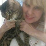 Searching for a Home Carer Opportunity in Montreal