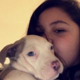 Interviewing For a Pet Trainer Job in Milford