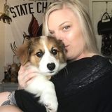 Caring & Compassionate Pet Care Provider in Brentwood, California