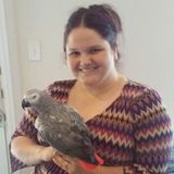 Available: Talented Animal Caregiver in Alvin. Specializes in Exotics.