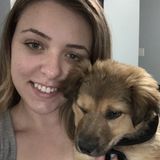 Burlington Pet Sitter Available For Being Hired