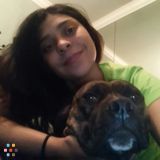Let Me Help You With Your Four Legged Family Member