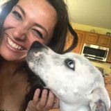 Dog Runner, Walker, and Sitter!