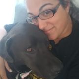 Outstanding Veteran looking to Watch Your Outstanding Pup
