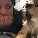 Dog Walker & Petsitter Carrboro