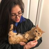 Energetic pet lover looking for a pet sitter job near the Alexandria area!