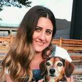 Knowledgeable Animal Caregiver in the Lower Mainland/ Vancouver area