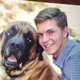 Available: Careful Dog Walker in Ossining, New York