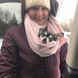 Caring House/Pet/Plant Sitter available in and around Kitchener, Ontario