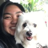 Pet Lover/ Pet Sitter