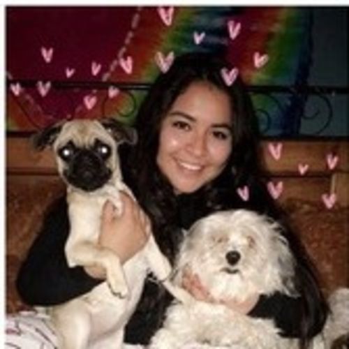 Pet Care Provider Yareli T's Profile Picture