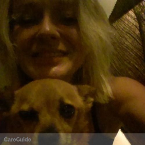 Pet Care Provider Colleen C's Profile Picture