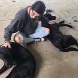 Animal Lover Eagerly Waiting to Take Care of Your Fur Babies!