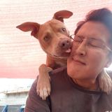 Passionate, caring animal caretaker serving you and the southbay