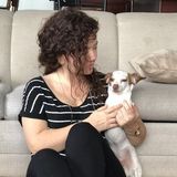 Your dog in the best hands!