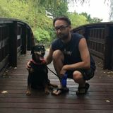 Excited Dog Sitting Professional Available Now