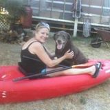 Whitefish Pet Sitter, Dog Walker Interviewing For Work in Whitefish and surrounding area.