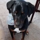 Detail oriented, willing to take direction, part-time help needed