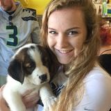 Looking to take care of your pets summer 2017!