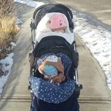 Looking for a Summer Nanny in Calgary