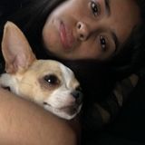 Qualified Pet Sitting Available Now!